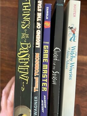 Set Of 5 Assortment of Books For Summer Beach Reading